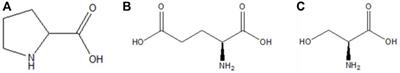 Study on vapor–liquid equilibrium and microscopic properties of DL-proline, L-glutamic acid, and L-serine aqueous solutions